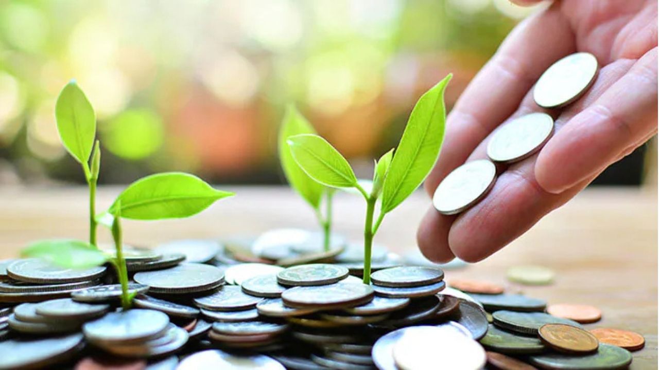 where to invest money