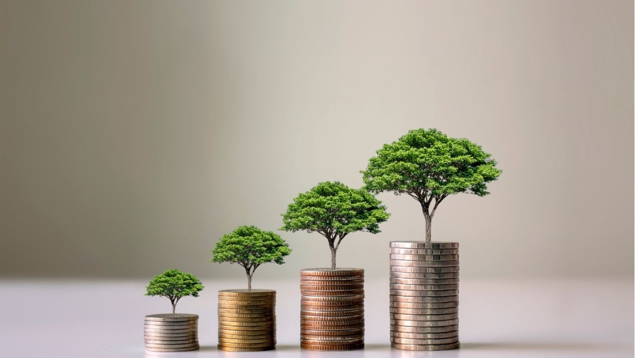 optimize taxes to maximize savings