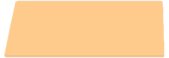 nhi money light orange